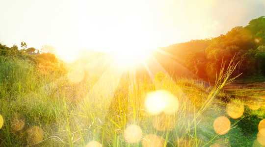 Eine Wiese mit starken Sonnenstrahlen