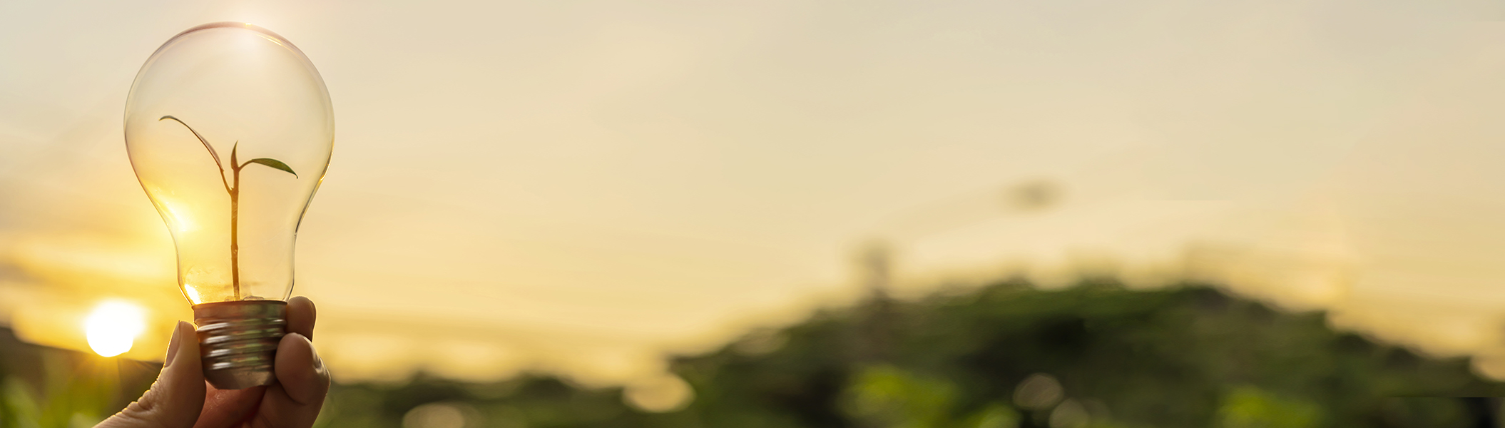 Pflanze in einer Glühbirne, im Hintergrund ist eine Landschaft zu sehen.