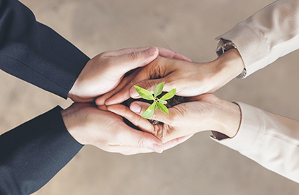 Zwei Personen die zusammen einen Sprössling halten